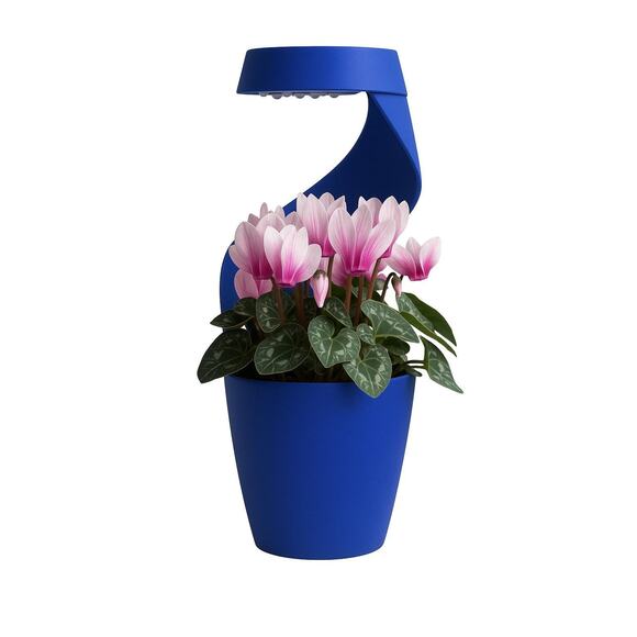 Eve,‎ Modern Self-Watering Desk Planter/Vase, Sculptural Drip Basin - Picture 2 of 8